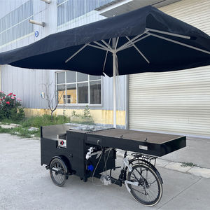 Triciclo de carga con logotipo personalizado, bicicleta eléctrica de 3 ruedas para helados, a la venta, con asistencia de Pedal, congelador, bicicleta Expendedora de paletas - Product Image 1