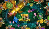 Ocean king 3 Fire Phoenix IGS Software with New Arcade Fishing Game Machine