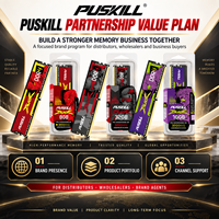 PUSKILL Module de mémoire RAM DDR4 haute vitesse 16 Go 3200 MHz UDIMM 288 broches pour PC de bureau et mise à niveau système