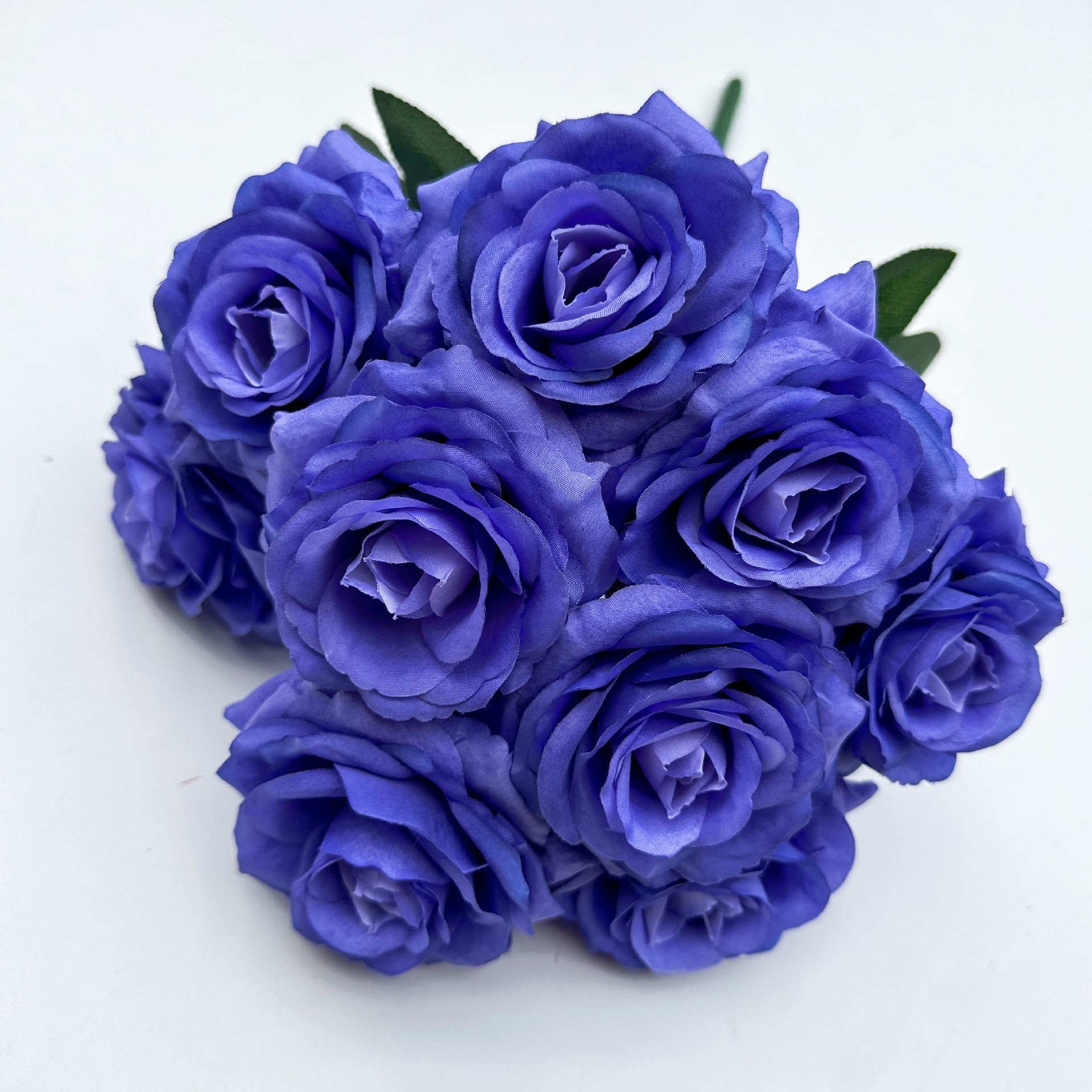 Bleu Pourpre
