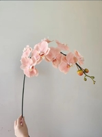 Haute qualité luxe Latex papillon orchidée fleurs en soie artificielle pour mariage noël remise des diplômes fête des mères décor à la maison