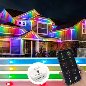 Outdoor IP68 Smart Decoration Lights For Christmas Waterproof Holiday Led Pixel Light Puck Rgb Permanent Lights 50ft 25