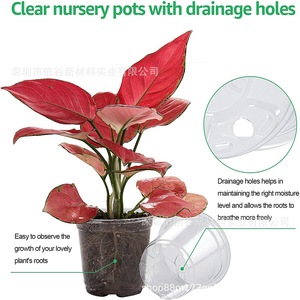 Clear Nursery Pots with Drainage Holes Flexible Plastic Seed Starting Pots for Home <b>Vegetable</b> Gardening Farmhouse Design - Product Image 5