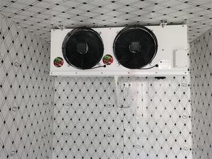 Cámara Frigorífica para Cebollas, Sistema de Refrigeración para Cámaras Frigoríficas, Puerta de Refrigeración para Verduras - Product Image 4