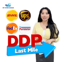 Ever Ocean Fast Ddp Conteneur Load Air Express Transporteur International Courrier Livraison Agent de livraison Canada États-Unis