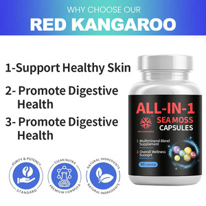 Complément Herbal Tout-en-un en Gros : Capsules de Mousse de Mer et Ashwagandha pour l'Énergie, le Système Immunitaire et la Santé Digestive – Mélange Multiminéral - Product Image 3