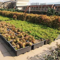 Système de plateau modulaire de toit vert de haute qualité plateau de plante profonde plateaux de toit vert pour la plantation