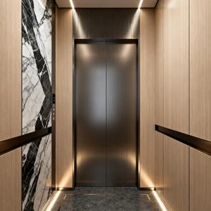 Ascenseur de passagers de style moderne 1000 kg avec entraînement AC et machine de traction sans engrenages pour utilisation dans un centre commercial de 10 étages - Product Image 6