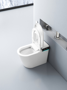 Роскошный современный цельный керамический унитаз с умным биде - Product Image 4
