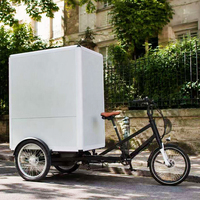 Vélo cargo électrique à 3 roues 48V 850W avec boîte de transport arrière, mini-fourgonnette, quad cargo, vélo cargo électrique – Approvisionnement direct usine