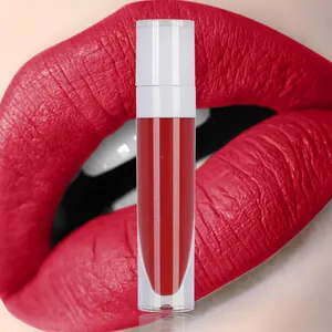 L02 Maquillage personnalisé faites votre propre rouge à lèvres mat imperméable à l'eau rouge à lèvres liquide de marque privée