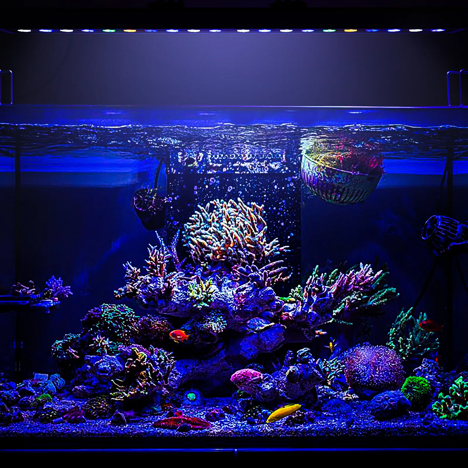 Sur mount or 60 90 120cm Marine Aquarium LED Licht Leucht lampe <span class=keywords><strong>Korallen</strong></span> licht Riff LED Licht Aquarium