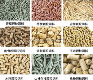 Essiccatore e Raffreddatore Automatico per Mangimi in Pellet per Pesci e Animali, Essiccatore per Cereali e Pollame, Macchina per Essiccare e Raffreddare Mangimi Espansi - Product Image 6