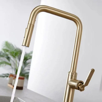 Robinet de cuisine moderne à tirette en acier inoxydable 304 de haute qualité Design contemporain Robinet d'eau chaude et froide Poignée en zinc Brosse dorée