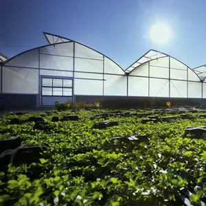 Casa verde multi-span para jardim comercial inteligente agrícola de baixo custo