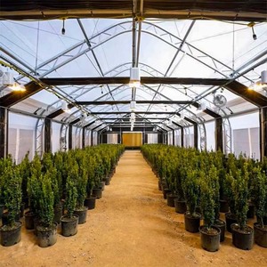 High-efficiency Single-span Blackout Greenhouse Wind-resistant for Commercial Flower Seedling Breeding - Product Image 3