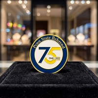 Pièce de monnaie personnalisée en gros avec logo OEM, émaillée, commémorative d'anniversaire, cadeau d'entreprise ou scolaire, artisanat métallique