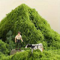 Tapis de mousse artificielle Floson de haute qualité, écologique, vert, ornement de bonsaï, mousse en filaments, terrarium, aménagement paysager