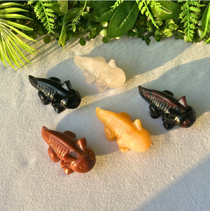 งานแกะสลักคริสตัลหินธรรมชาติรูปสัตว์ แกะสลักอักซอลอตล์จากคริสตัลสำหรับตกแต่ง ขายส่ง - Product Image 2