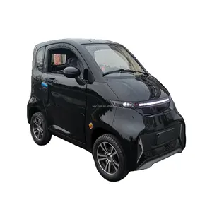 Yunlong 4 tekerlekli elektrikli mini araba eec onaylı yolcu veicle L6e 2 kişilik elektrikli hareketlilik araba orta direksiyon