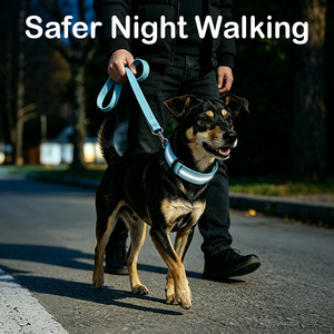 <span class=keywords><strong>Collier</strong></span> pour chien en nylon réglable avec lumière LED à 4 modes, idéal pour les promenades nocturnes en toute sécurité - Vente flash - Product Image 6