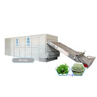Séchoir industriel haute capacité pour persil et herbes aromatiques