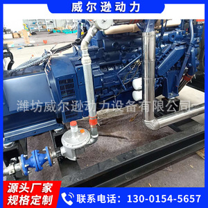 Grupo Electrógeno de Biogás Weifang de 120kW 400V Ecológico para Granjas Ganaderas y Plantas de Tratamiento de Residuos - Product Image 5