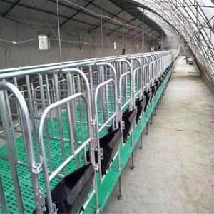 Mang thai Vườn Ươm <span class=keywords><strong>farrowing</strong></span> cai sữa lợn nái heo gian hàng Crate Pen lồng nhúng nóng mạ kẽm mạ kẽm hộp với PVC Bảng điều chỉnh - Product Image 5