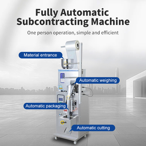 Back Seal Sachet Packaging Machine Potato Chips Packing Machine Banana Chips Plantain Packaging Machine Spice Packing Machine - Product Image 3