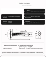 Vis autoperceuses à tête plate en acier inoxydable 304, longueur personnalisée, à empreinte Phillips, mesure standard en pouces M3/M4/M6 pour le métal