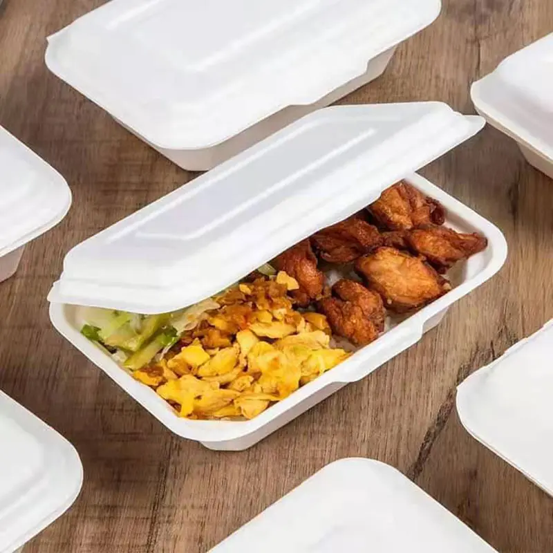 Tek kullanımlık gıda tepsileri kağıt Take Away konteynerler Fast Food kapaklı şeker kamışı Bagasse 600ml kutu tek kullanımlık tabaklar ve bardaklar