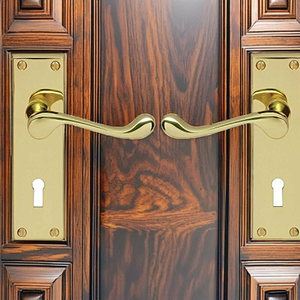 Cerradura de Puerta Carlisle de Latón con Manija de Estilo Victoriano, Placa Trasera Ambidiestra de 57 mm C/C, Incluye Par de Manijas y Fijaciones, Color Dorado - Product Image 1