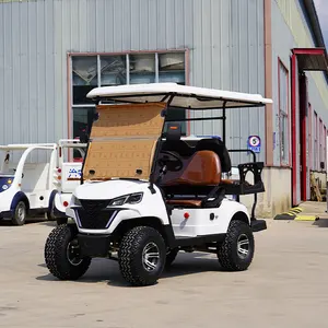 Productos innovadores Canadá Top Golf Cart 4 ruedas de viaje comestibles eléctricos 4 plazas turismo Scooter carrito de golf para la venta