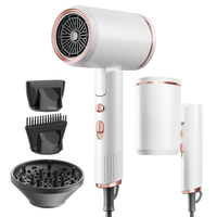 Sèche-cheveux ionique pliable de voyage haute qualité 2400W à séchage rapide avec diffuseur pour voiture/camping-car, usage extérieur, salon et hôtel, logo personnalisé