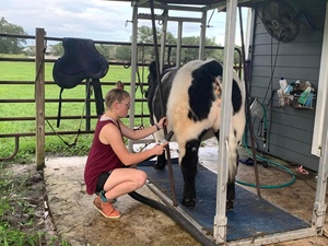 Un incontournable pour l'élevage de bovins à grande échelle est le tapis antidérapant pour vaches. Choisissez celui-ci, les sabots de vache ne seront pas blessés. - Product Image 6
