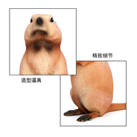 Figur Hewan Model Patung Simulasi PVC Solid Grosir, Mainan Figur Marmot, Figur Hewan Mainan