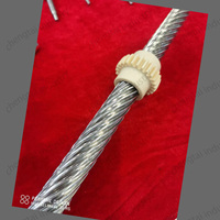 Bonne performance Vis de plomb sur mesure