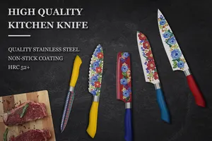 Yeni yıl bahar festivali 5 adet yapışmaz paslanmaz çelik mutfak bıçağı ABS kolu ile Set