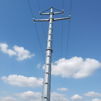 Tour de transmission monopôle en acier Shenghong SH-Power Line Towers, structure galvanisée à chaud, 550KV 630A haute tension, 8 puissances