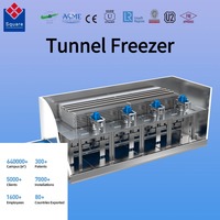 Congélateur tunnel personnalisable en promotion avec technologie Airflow et contrôle de température convivial
