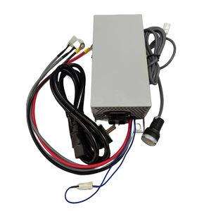 <span class=keywords><strong>HA</strong></span>-2901009770 Cargador de piezas originales Compatible Haulotte Optimum Compact STAR Series para maquinaria de construcción que incluye - Product Image 5