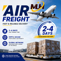 DDP Professional ACE China, Agente de Carga Internacional, Logística Express Rápida de 4 a 7 Días, Mercancías Peligrosas, Verificado por Alibaba, FBA