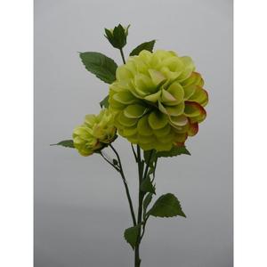DALIA SPRAY X3 63CM GR - Product Image 1