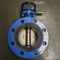 Katup Kupu-kupu Berflens Ganda DI/SS304 dengan Pelapis EPDM/PTFE, PN10/16 Standar EU/BS/ANSI, Tahan Korosi, Tersedia Ukuran OEM