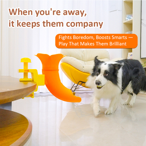 <span class=keywords><strong>2026</strong></span> Yeni Otomatik Köpek Eğitim Oyuncakları Tenis Topu Fırlatıcı Kapalı Alan Egzersiz Oyuncağı Can Sıkıntısı Giderici Zıplayan İnteraktif Köpek Oyuncağı - Product Image 3