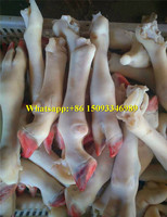Machine à enlever les ongles des pieds de bétail/Machine à enlever les coquilles de vache et de cochon/machine à enlever les ongles des moutons et des chèvres