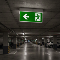 Signalisation lumineuse d'issue d'urgence 2W rechargeable, autonomie 3 heures, étanche IP65, corps en PC pour supermarché et magasin de proximité