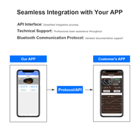Solutions IoT HH, capteur de température sans fil Bluetooth, thermomètre intelligent, hygromètre, capteur de température Bluetooth
