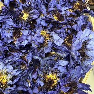 Té de Hojas Sueltas de Flor de Loto Azul Entera de Alta Calidad, Nymphaea Caerulea, de Jardín Propio, Herbal, Natural, Hoja Fumable - Product Image 1