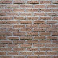 NEU best-seller vieille feuille de brique rouge pour la décoration murale extérieure 3D briques artificielles carreaux de mur de briques pour façade extérieure